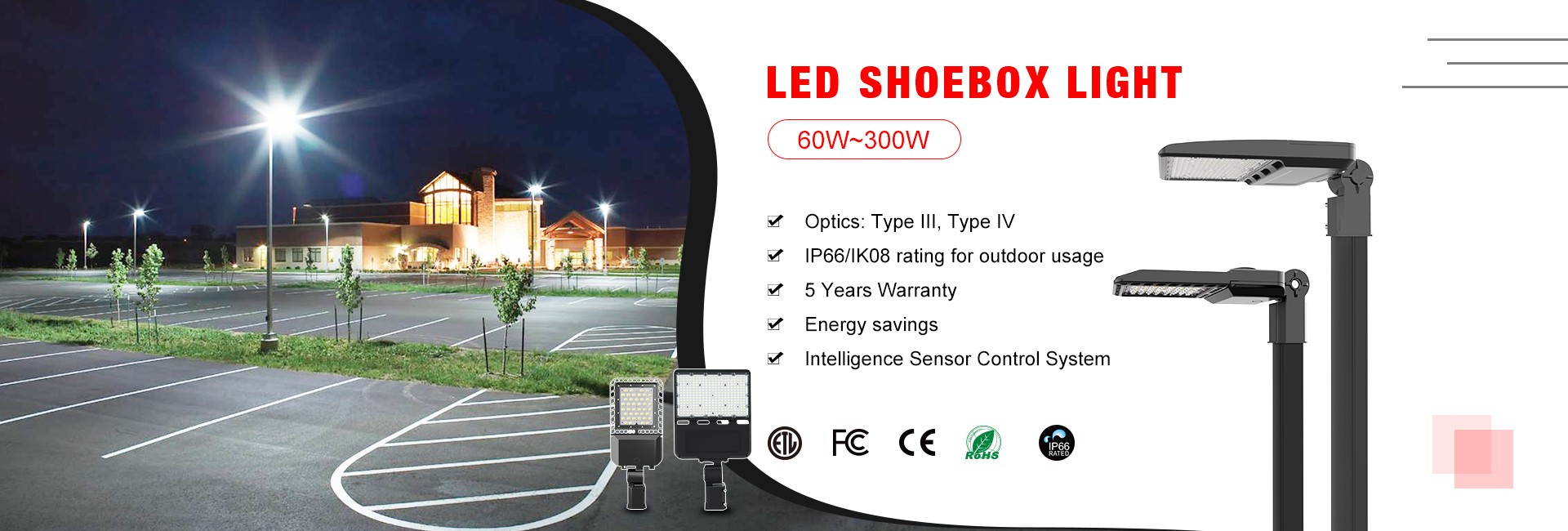LED Shebox Light