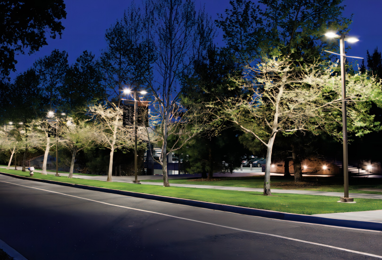 30d2a4f2087d9eb3702a8c0b767307ca.png 30d2a4f2087d9eb3702a8c0b767307ca.png